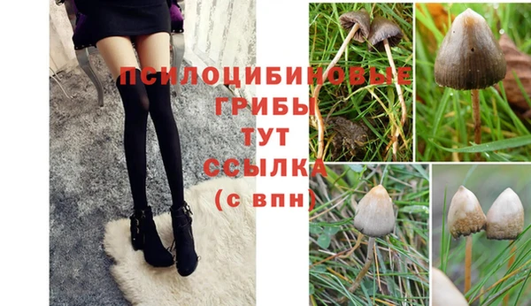 дистиллят марихуана Абаза