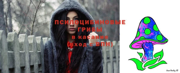 гидра Алзамай