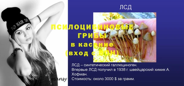 гидра Алзамай