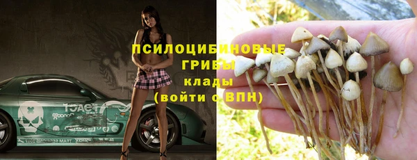 гидра Алзамай